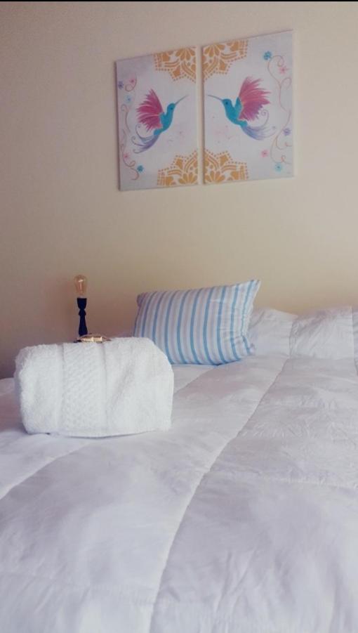 Avellaneda Suites Río Gallegos エクステリア 写真